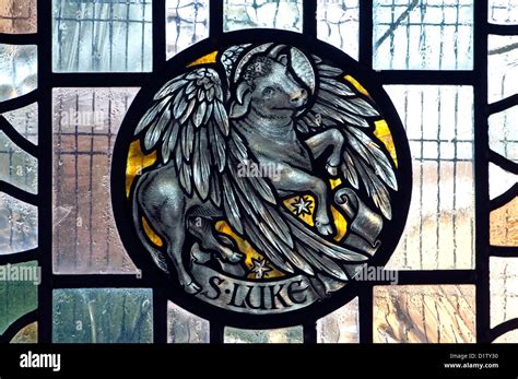 Saint Luke symbol stained glass, St. Paul`s Church, Cookhill ...