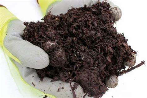 Natural Ingredents Powder Spent Mushroom Compost, For Agriculture, Target Crops: Vegetables at ...