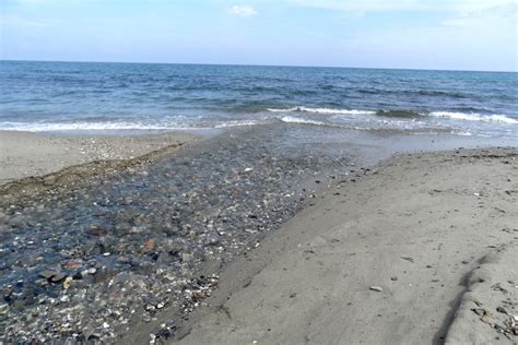 la rivière Petrignanu qui se jette dans la mer une photo de Cervione