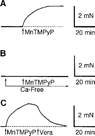 Effects Of Removal Of Extracellular Ca And The Application Of