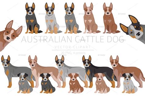 I Love My Australian Cattle Dog Svg File Cutting File Clipart In