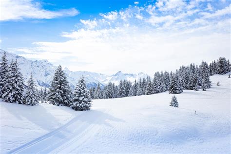 Giornata Mondiale Della Neve Cosa Viene Celebrato