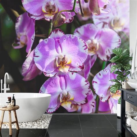 Doboxa Fototapeta Vinyl Strukturalny Pi Kne Orchidee X A Opinie