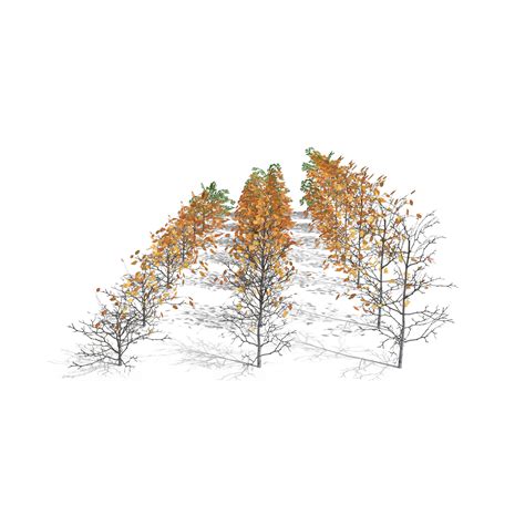 Birch Shrubs 3D Model Pack