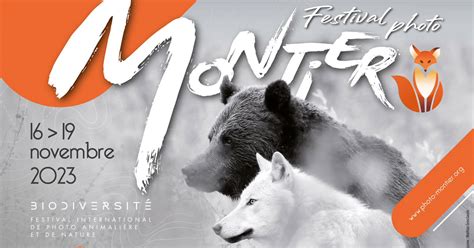 Montier, the must-see festival for photography lovers