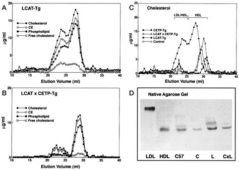 Fplc Analysis Of Plasma From Lcat Tg Cetp Tg Lcatxcetp Tg And Download Scientific Diagram