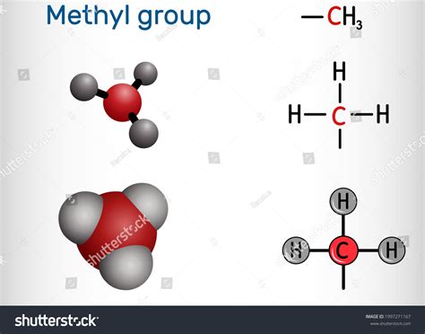 16 Methyl Radical Images, Stock Photos & Vectors | Shutterstock