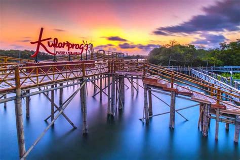 Pesona Hutan Mangrove Kulon Progo - Koran-Jakarta.com