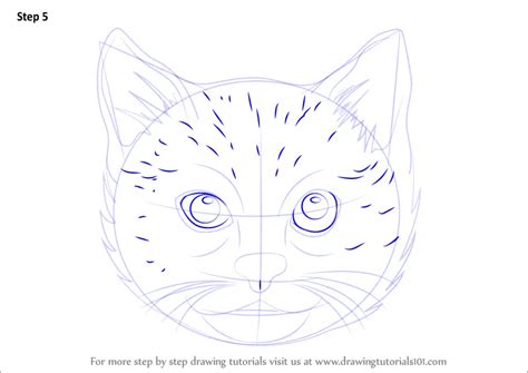 Learn How to Draw a Cat Face (Cats) Step by Step : Drawing Tutorials