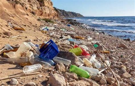 World Clean Up Day Ibiza Celebrating Coastal Cleanup Events