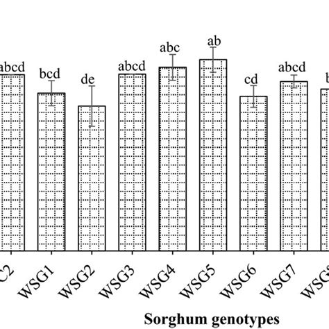 In Vitro Protein Digestibility Of Released Sorghum Cultivar And