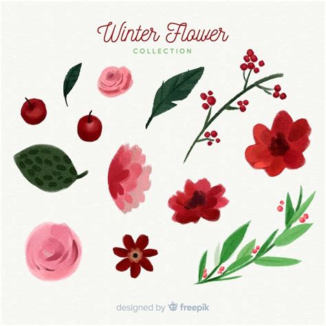 Free Vector Watercolor Winter Flowers Collection