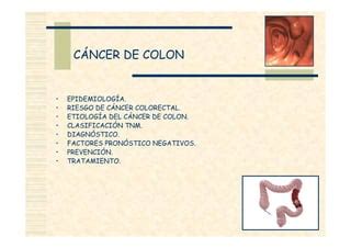 C Ncer De Colon Ppt Descarga Gratuita