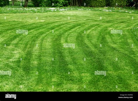 Freshly Mowed Lawn Stock Photo Alamy