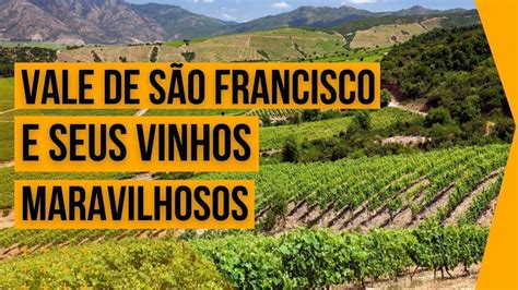 Bahia ganha Vapor do Vinho e enaltece o enoturismo vídeo