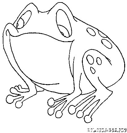 Coloriage Grenouilles Gratuit 2570 Animaux