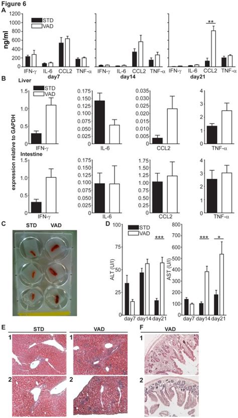 A Serum Cytokine Levels Were Analyzed Using The Cytometric Bead Download Scientific Diagram