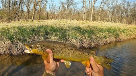 Wisconsin Trout Fishing 4252024 Youtube