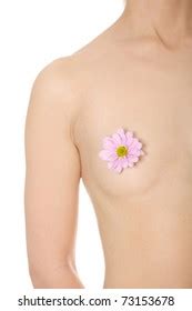 Beautiful Nude Womans Breast Isolated On库存照片73153678 Shutterstock