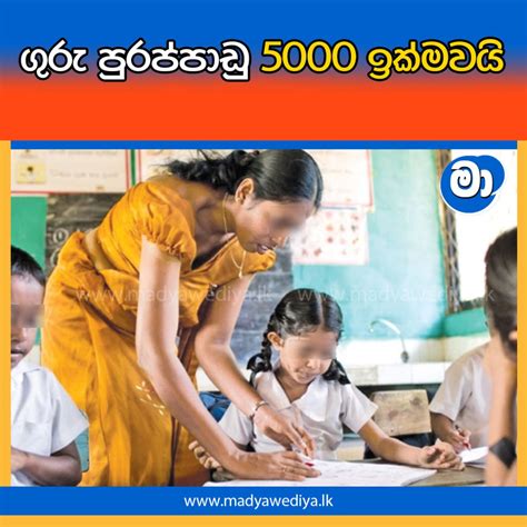 ගුරු පුරප්පාඩු 5000 ඉක්මවයි මාධ්‍යවේදියා