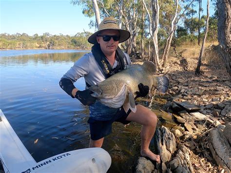 More Year Round Murray Cod Fisheries VFA