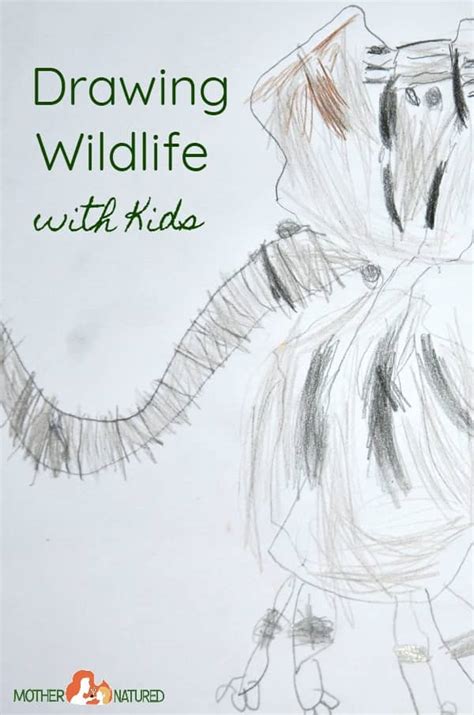 kids wildlife art drawing animals  kids mother natured