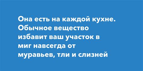 Она есть на каждой кухне Обычное вещество избавит ваш участок в миг навсегда от муравьев тли и