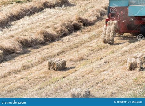 Coup Courbe D Un Tracteur En Recueillant Des Meules De Foin Dans Une