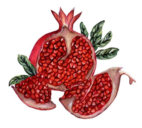 Premium Photo Fresh Ripe Pomegranate Cut Into Pieces With Seeds And