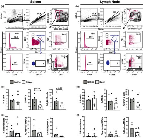 Immunophenotype Analysis Of Spleen And Ln Mcs From Doxo‐ And Download Scientific Diagram