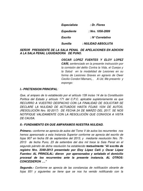 Nulidad De Actuados Pdf Ley Procesal Debido Al Proceso