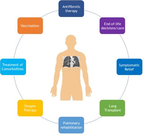 Management Of Patients With Idiopathic Pulmonary Fibrosis Download Scientific Diagram