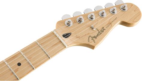 Player Stratocaster® HSS Plus Top | Electric Guitars