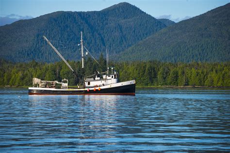 Fisheries In Focus What Is The Fisheries Management Index And What