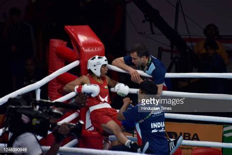 Boxer Sitting In Corner Photos And Premium High Res Pictures Getty Images