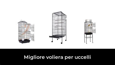 Migliore Voliera Per Uccelli Nel Secondo Gli Esperti