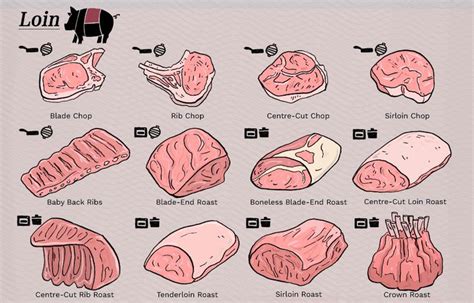 Pork Cuts Explained Ultimate Guide To Different Cuts Of Pork Pork Food Infographic Roast