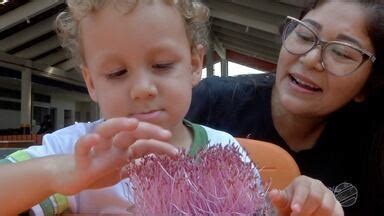 Natureza Mt Bloco As Pesquisas E O Cultivo Caseiro Globoplay