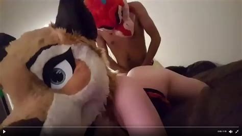 Guy Fucks Girl In Fursuit Xnxx