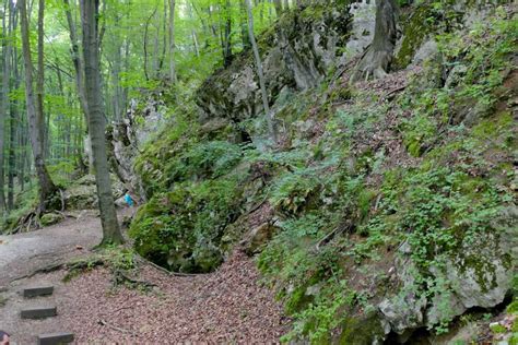 Rezerwat Sokole Góry Jura Krakowsko Częstochowska