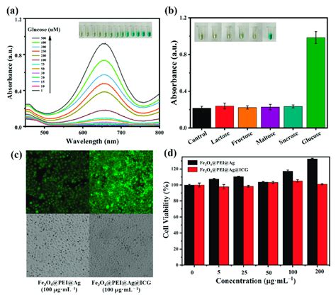 A Uv Vis Absorption Spectra Of The Sensing System Toward Glucose With