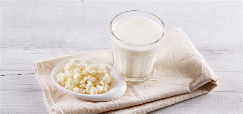 Dehydrated Milk Kefir Grains