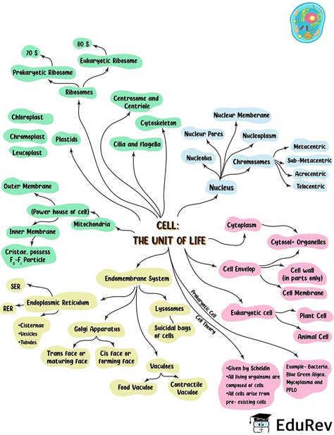 Mind Map Cell The Unit Of Life Biology Class 11 Neet Pdf Download