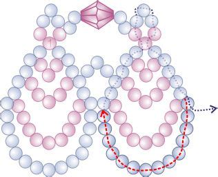 Bead Patterns And Ideas Scalloped Lace Necklace Bracelet Pattern