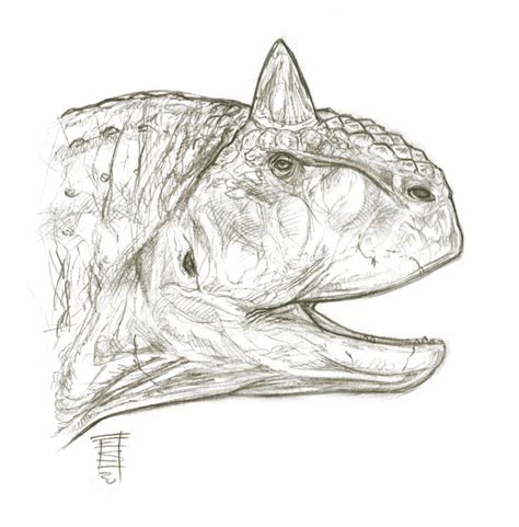 Sketchy Dino Headcarnotaurus In 2023 Dinosaur Illustration Dinosaur