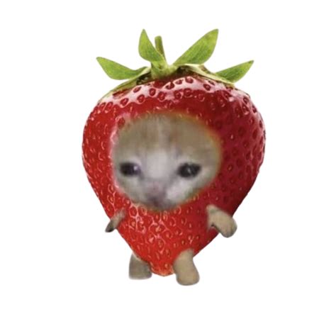 strawberry_catto - Discord Emoji