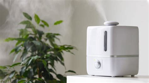 Humidifier Or Dehumidifier Which Is The Best Option For You