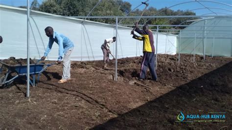 Greenhouse Constructors In Kenya Aqua Hub