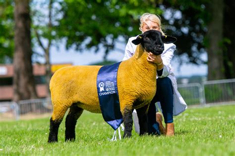 Royal Highland Show - 2021 - Suffolk Sheep Society