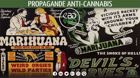 Holy Smoke L Histoire De La Prohibition Du Cannabis Cbd Info